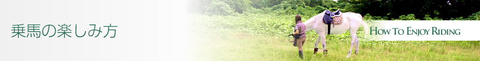 乗馬の楽しみ方