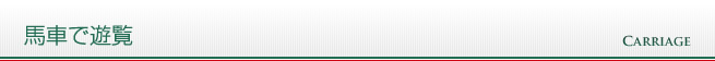 馬車で遊覧 馬車で遊覧
