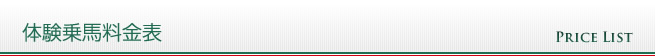 体験乗馬料金表(保険料込み)