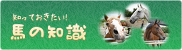 馬の知識 馬の知識